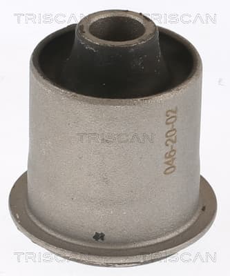 Bussning från TRISCAN