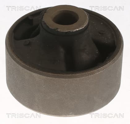 Bussning från TRISCAN