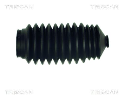 Bälgarsatz styresystem från TRISCAN