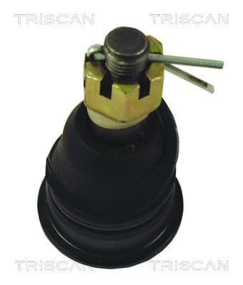 Spindelled nedre