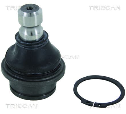 Spindelled nedre — Nedre från TRISCAN