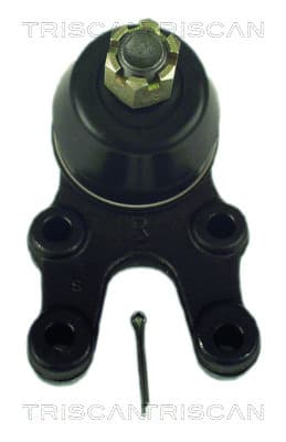Spindelled nedre