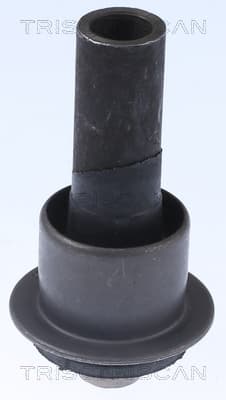 Bussning från TRISCAN