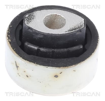 Bussning från TRISCAN