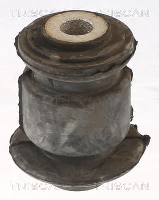 Bussning från TRISCAN