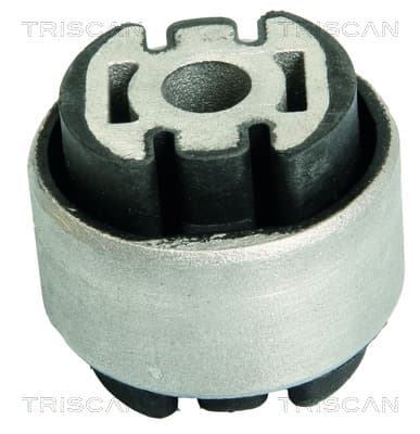 Bussning från TRISCAN