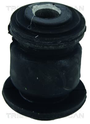 Bussning från TRISCAN