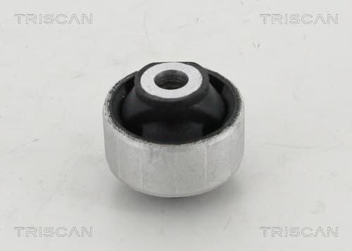 Bussning från TRISCAN