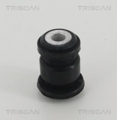 Bussning från TRISCAN
