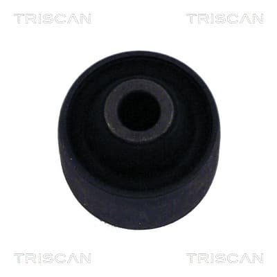 Bussning från TRISCAN