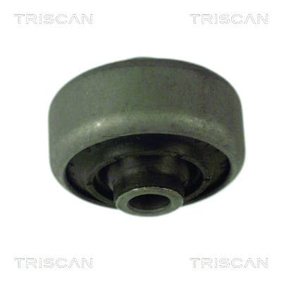 Bussning från TRISCAN