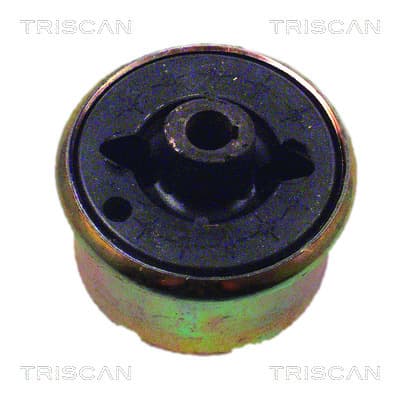 Bussning från TRISCAN