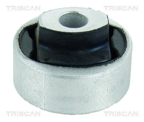 Bussning från TRISCAN