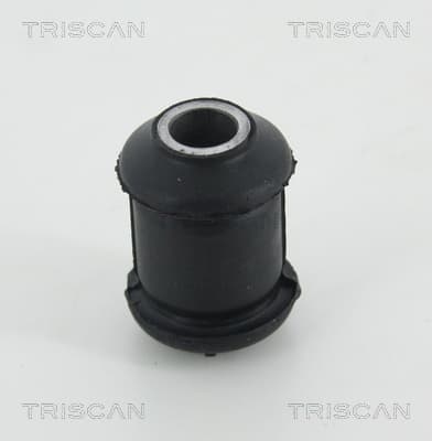 Bussning från TRISCAN