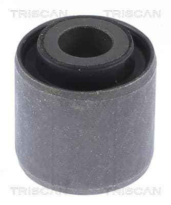 Bussning från TRISCAN