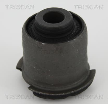Bussning från TRISCAN
