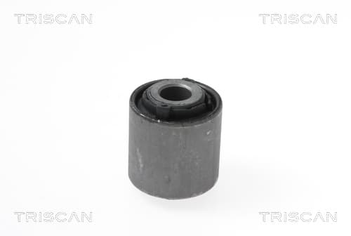 Bussning från TRISCAN