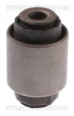 Bussning från TRISCAN