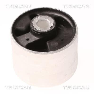 Bussning från TRISCAN