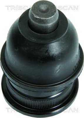 Spindelled nedre