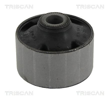 Bussning från TRISCAN