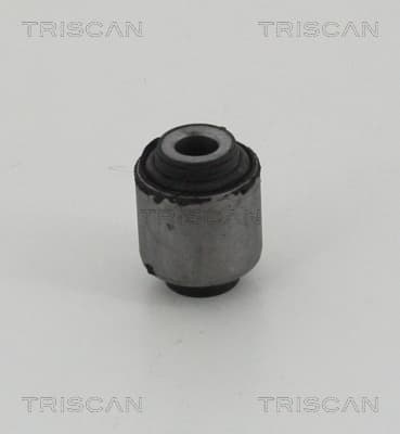 Bussning från TRISCAN