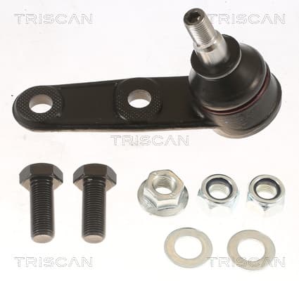 Spindelled nedre — Nedre från TRISCAN