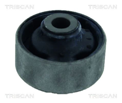 Bussning från TRISCAN