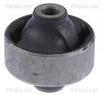 Bussning från TRISCAN