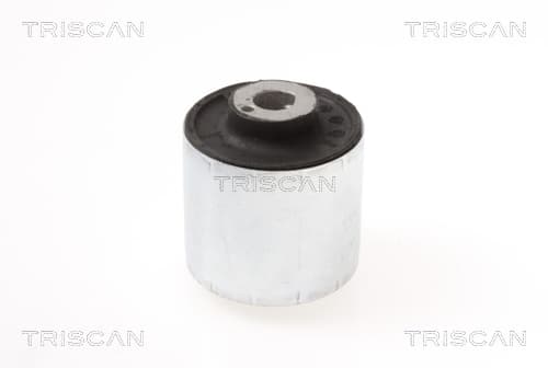Bussning från TRISCAN
