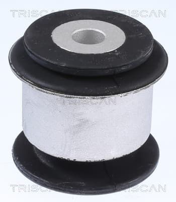 Bussning från TRISCAN