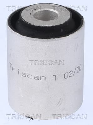 Bussning från TRISCAN