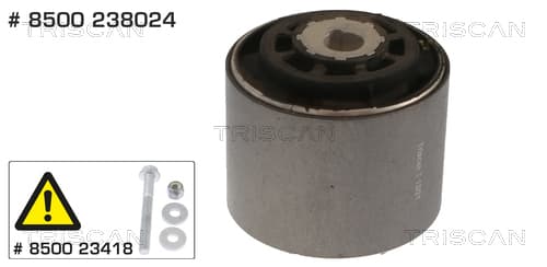 Bussning från TRISCAN