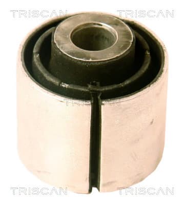 Bussning från TRISCAN