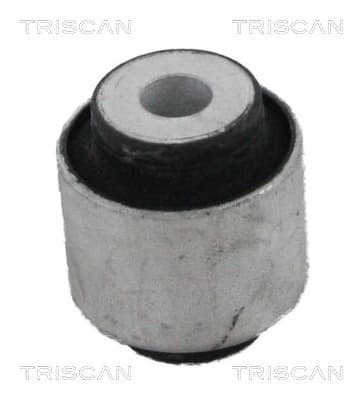 Bussning från TRISCAN