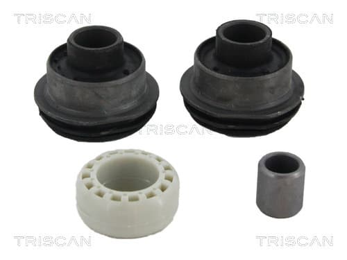 Bussning från TRISCAN