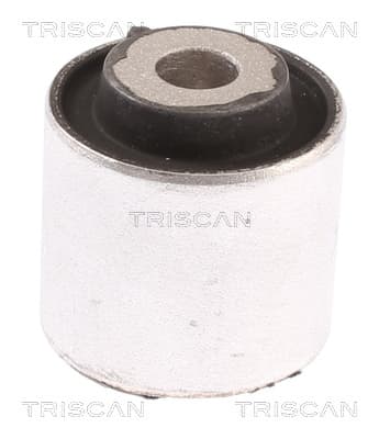 Bussning från TRISCAN