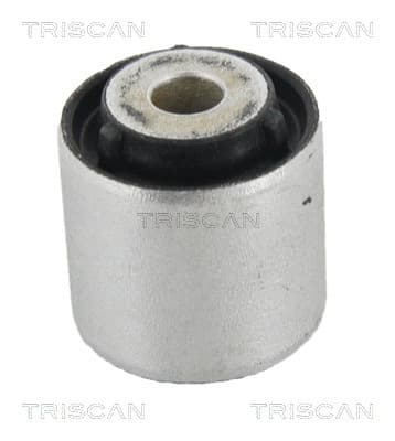 Bussning från TRISCAN