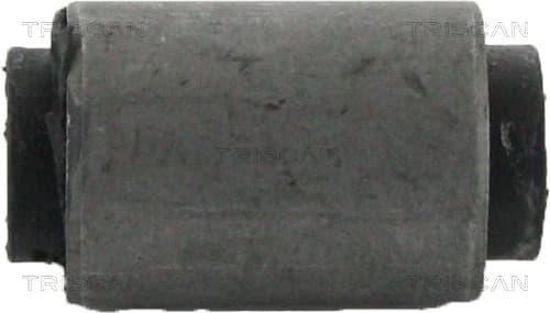 Bussning från TRISCAN