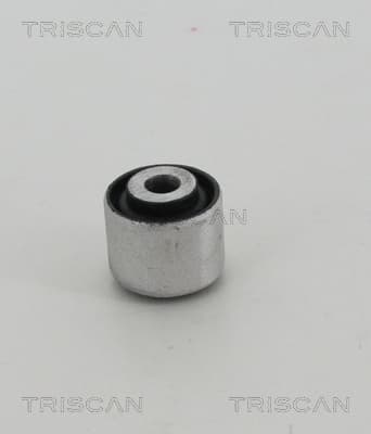 Bussning från TRISCAN