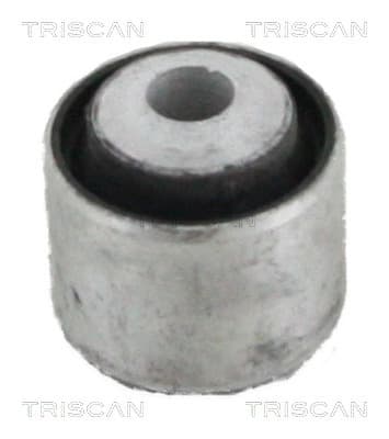 Bussning från TRISCAN