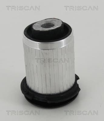 Bussning från TRISCAN