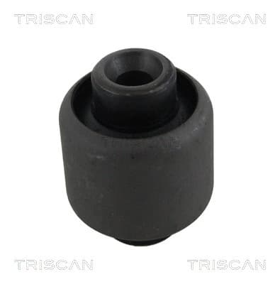 Bussning från TRISCAN