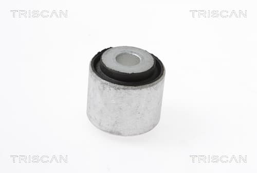 Bussning från TRISCAN