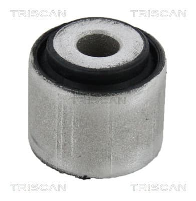 Bussning från TRISCAN