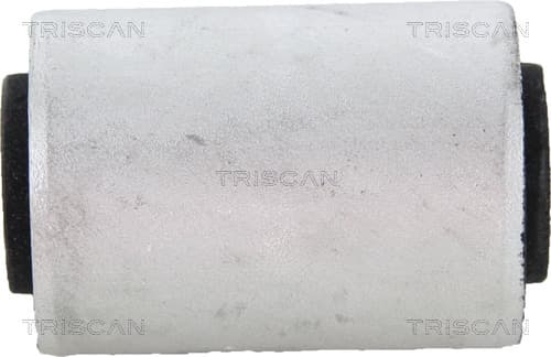 Bussning från TRISCAN