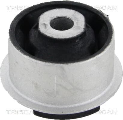 Bussning från TRISCAN