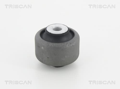 Bussning från TRISCAN