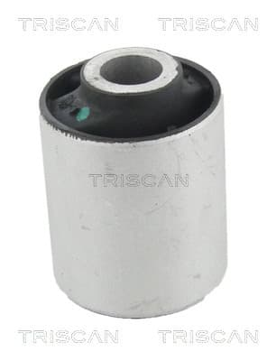 Bussning från TRISCAN
