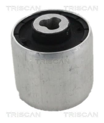 Bussning från TRISCAN